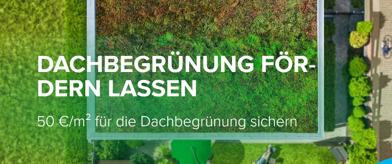 Dachbegruenung