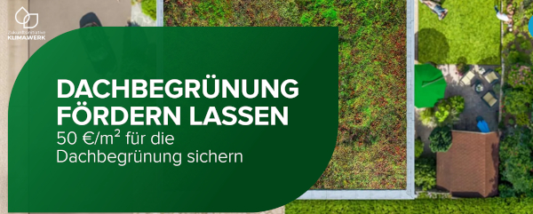 Dachbegrünung