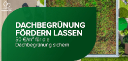 Dachbegrünungklein