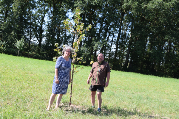 Erinnerungsgarten