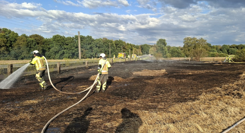 Flächenbrand
