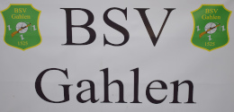 BSVneuklein