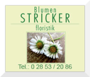 Blumen Stricker