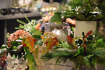 Lichterfest bei Blumen Stricker/ Fotos Gaby Eggert