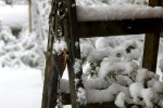 Schermbeck im Schnee